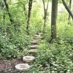 schlitz_stepping_stone_path_for_web