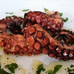 octopus