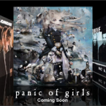 blondie panic of girls album